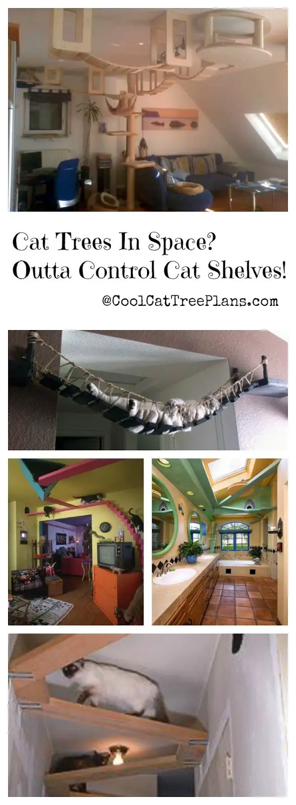 Cat Shelf Ideas Collage