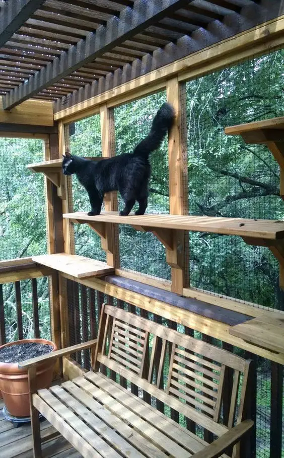 A screened in porch turned into a lovely outdoor cat room or catio.