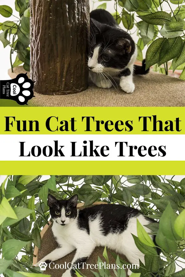 A cat enjoying a cat tree that looks like a tree.