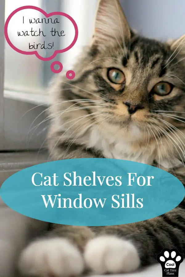 Cat shelves for window sills can be a great way to give your cat their coveted spot in the window without investing in a whole cat tree.