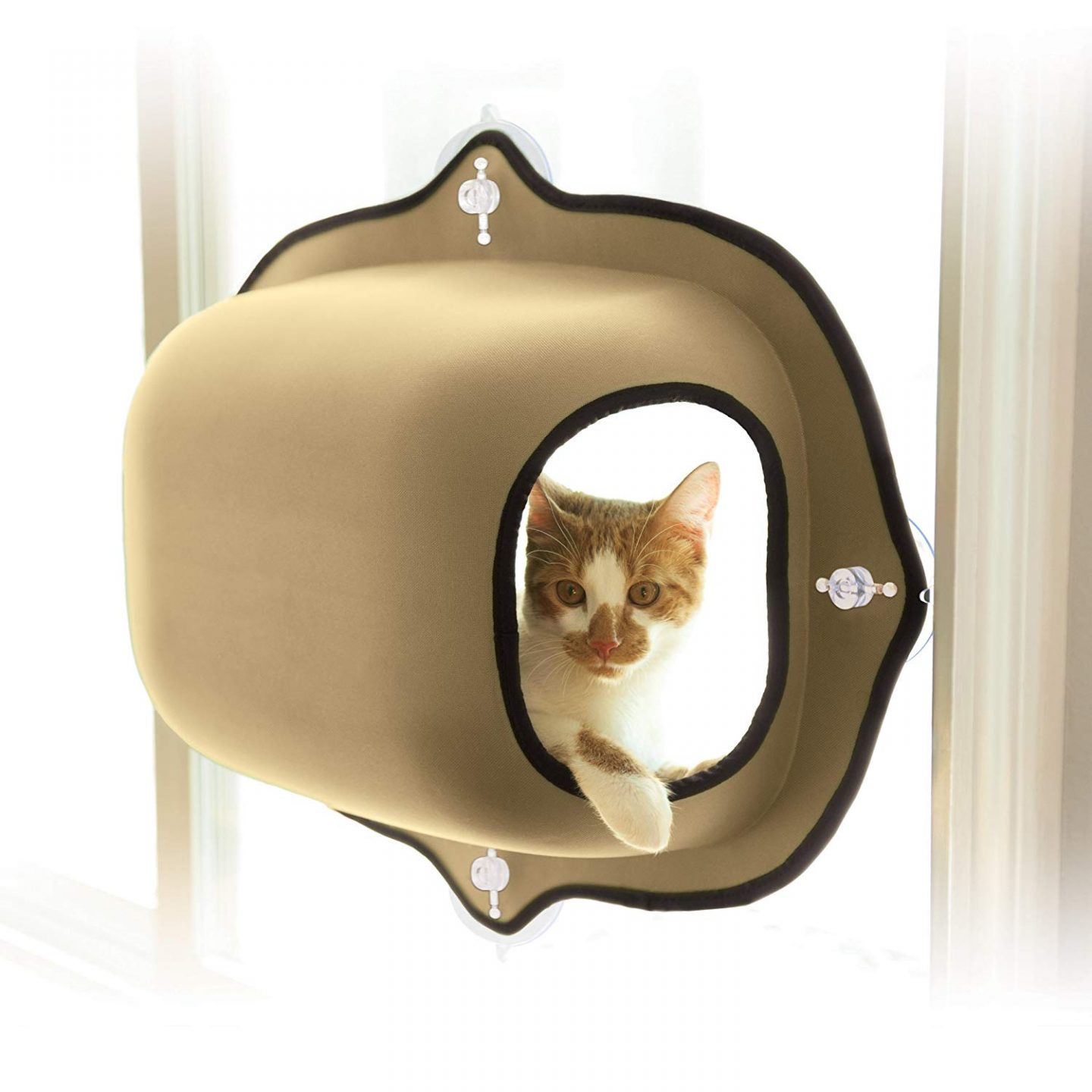 An enclosed window mounted cat pod can make all the difference in a small space.  Give your kitty a private basking area without investing in a giant cat tree.