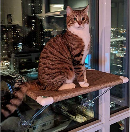 This wireless large cat window perch is a great apartment cat shelf.  There's no need to drill into your walls to install it and it doesn't take up anywhere near as much space as a cat tree!