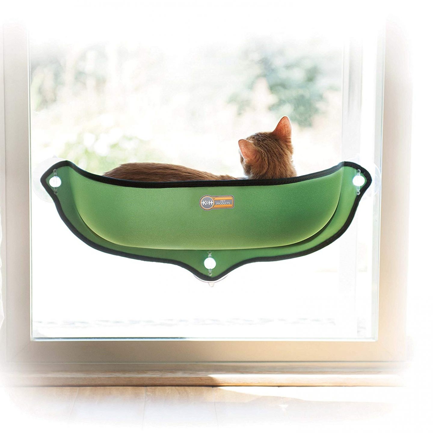 I've seen this car safe window mounted cat lounger around before and I got super excited.  It's just to cool and really makes me want an adventure cat.