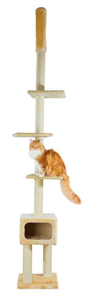 Slimline floor to ceiling cat tree narrow base and small footprint. MODERN!