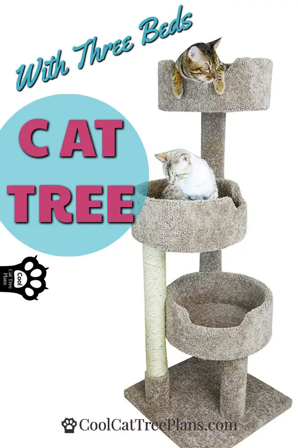 Carpet Covered Cat Tree With Three Beds - Great for multi cat homes. It's a cat tree build out of cat beds! So cool. Large cat approved!