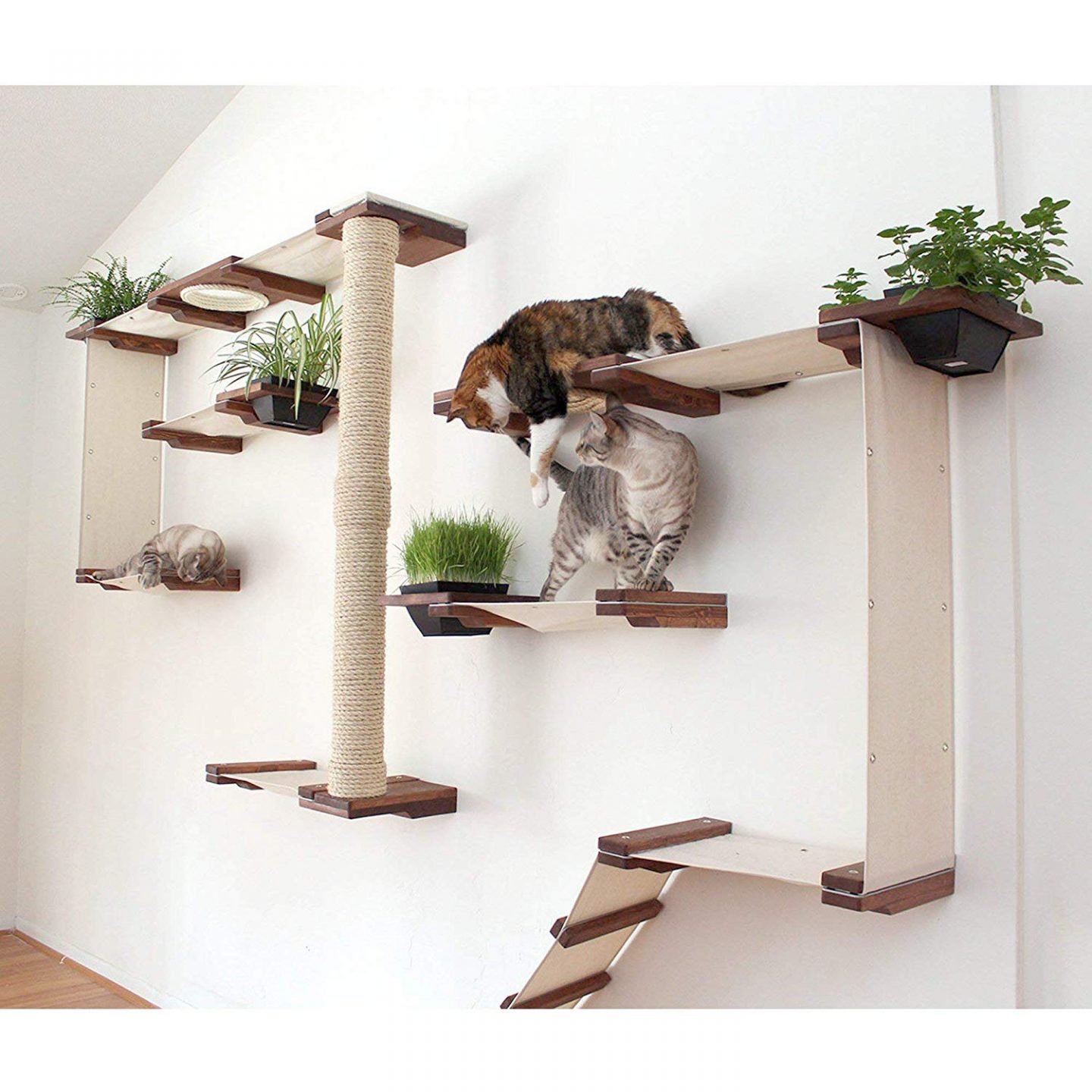A full sized cat shelf kit, it's great because it gives your cat a whole lot of romping space.
