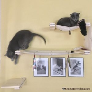 Combining your cat wall shelves into your decor can be pretty fun too, and make for great statement pieces in just about any home.