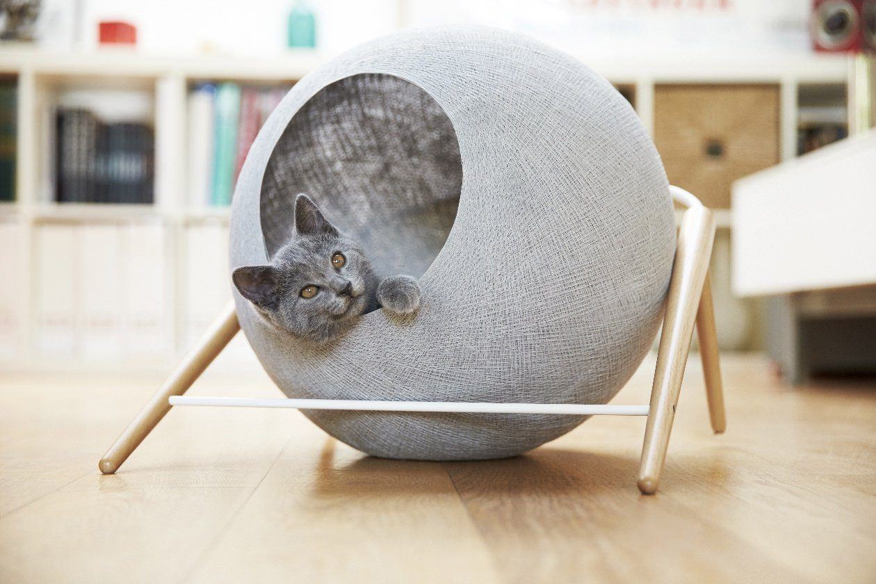 The Sphere is a modern cat bed that can almost double as modern art.