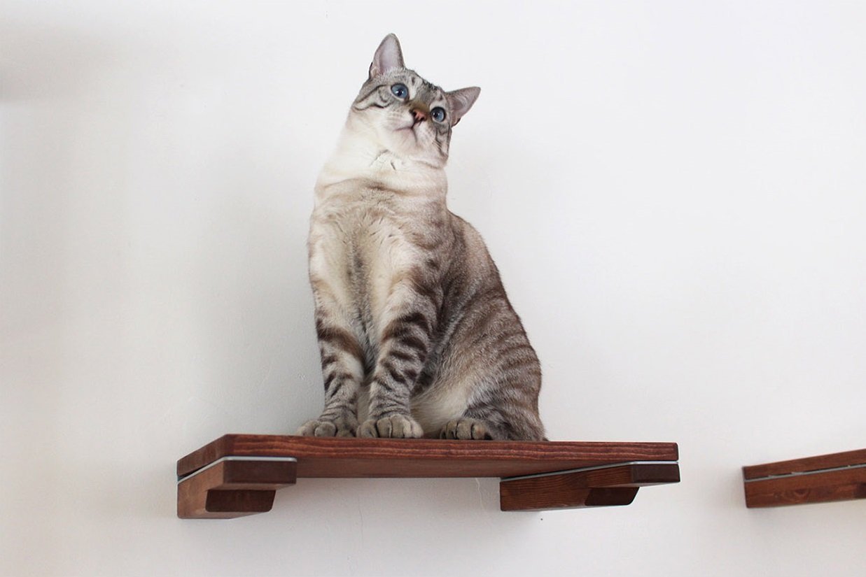 An 18" modern floating cat wall shelf from CatastrophiCreations