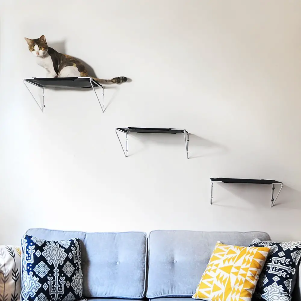 A set of three cheap cat wall shelves to help spruce up your cats play space.