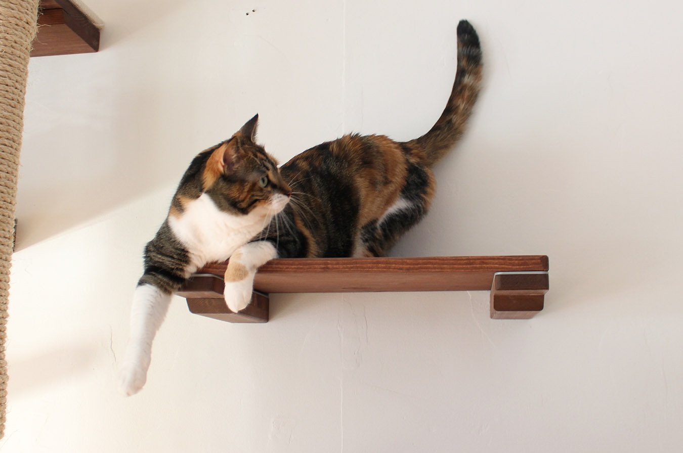 A small modern cat shelf that will minimize it's footprint on your walls while still being a fun place for your cat to romp and maintaining your homes modern decor.