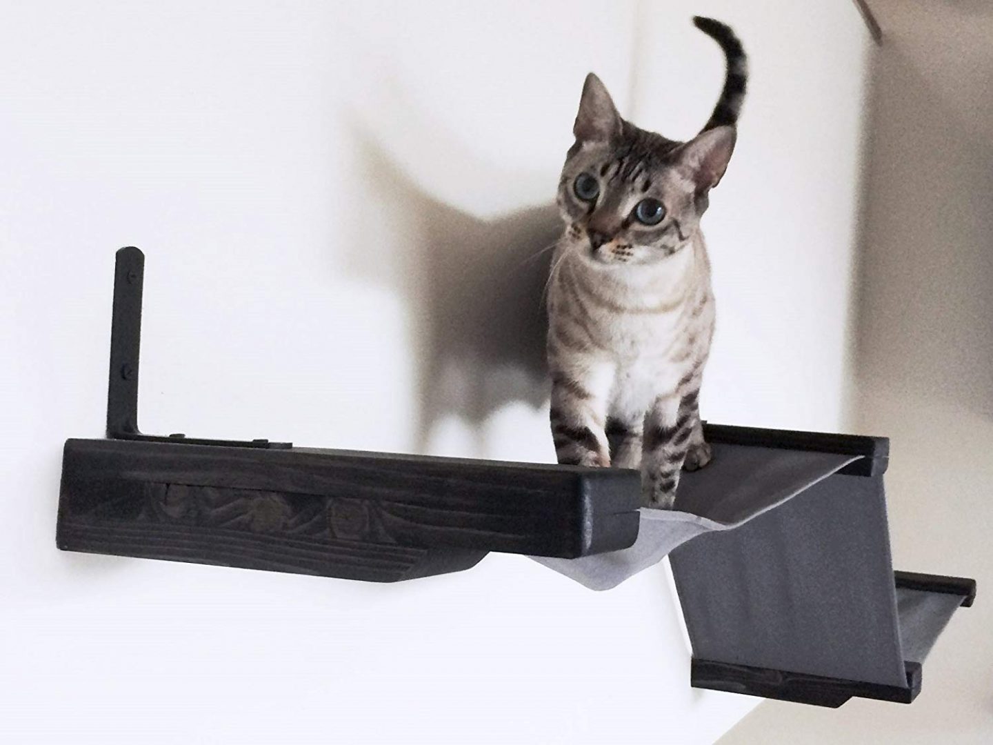 A modern cat runway shelf for your chic cat shelf needs when you're building a cat wall.