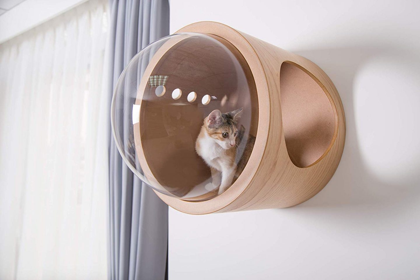 A modern cat wall shelf that almost makes you feel like you're in an aquarium.  It's like one of those bubble tanks you can go inside to see the fish.