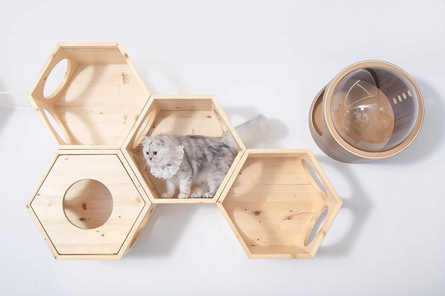 Hexagonal, almost honeycomb shaped solid wood cat shelves that interlock and can make entire cat playgyms.