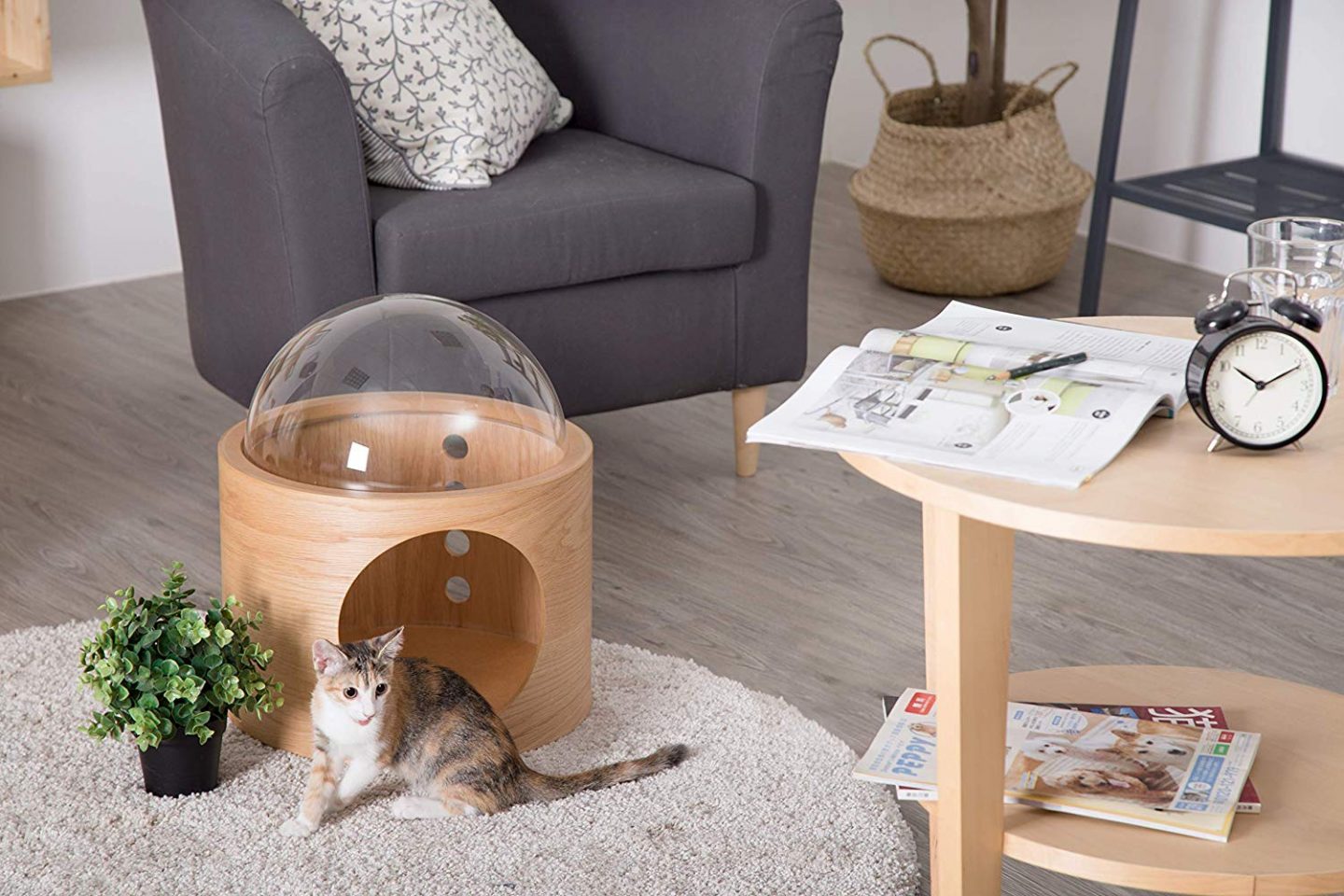 This cat shelf can also be used as a modern bubble cat bed, it's still got that really cool space theme going on too.