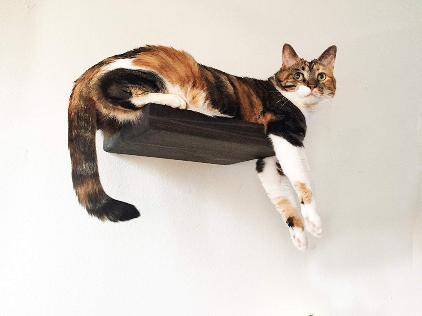 A 12" cat shelf suitable for making cat stairs on your wall up to higher cat shelves or a cat wall raceway