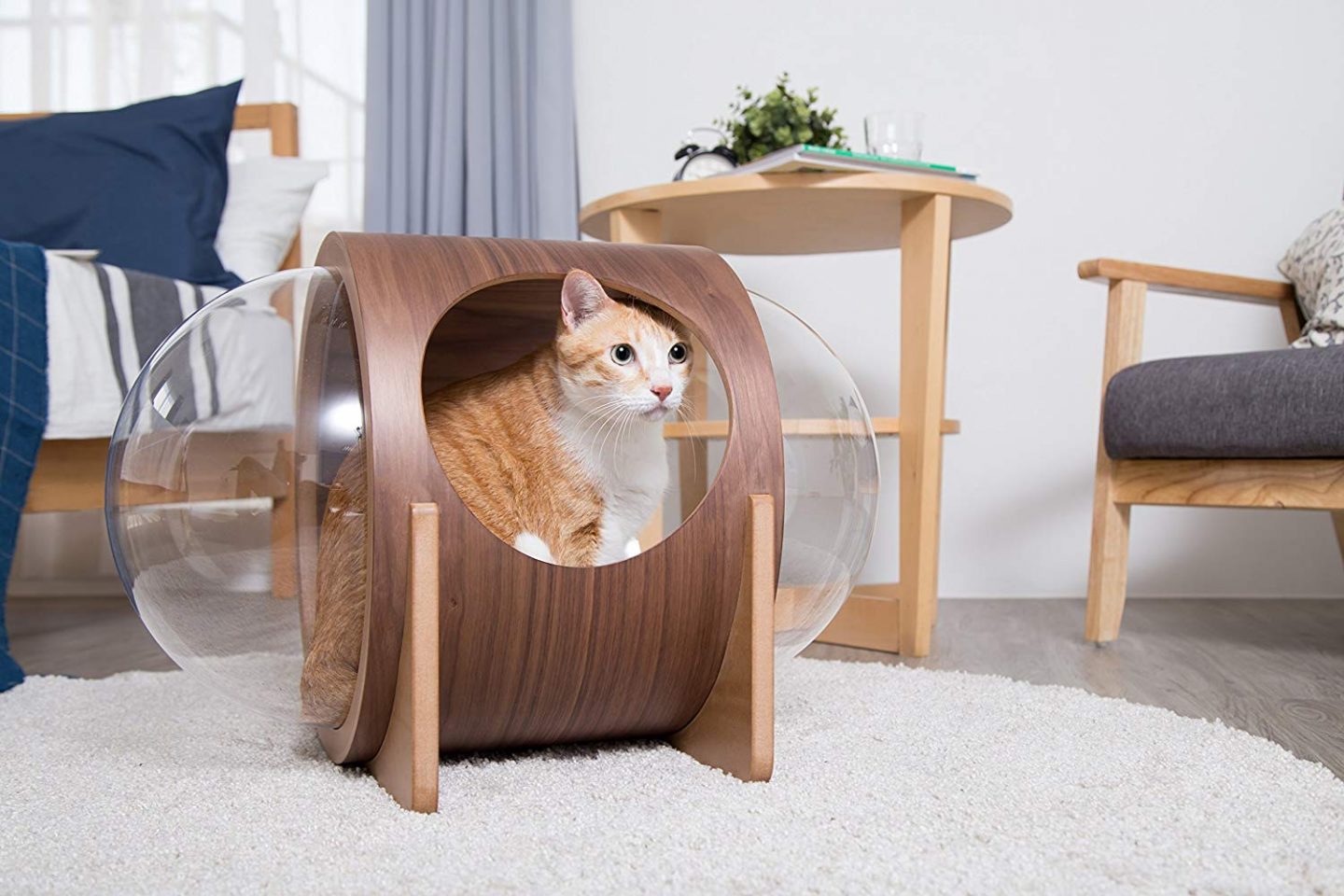 The Spaceship Alpha from MyZoo is an A+ addition to work with your modern cat furniture shelves.