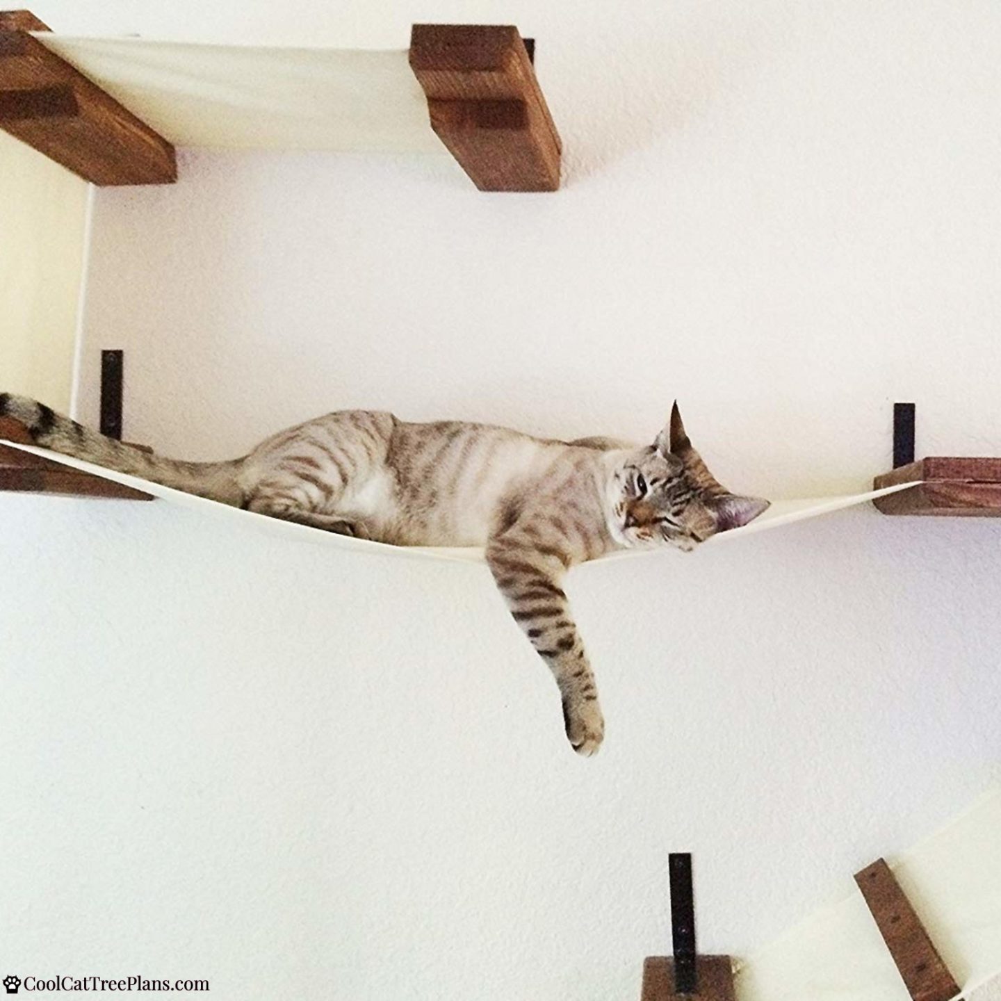 A good sized, double decker cat wall shelf for your cats to lounge and play on.  It's not going to take up the whole wall, but it's more than just a hammock!