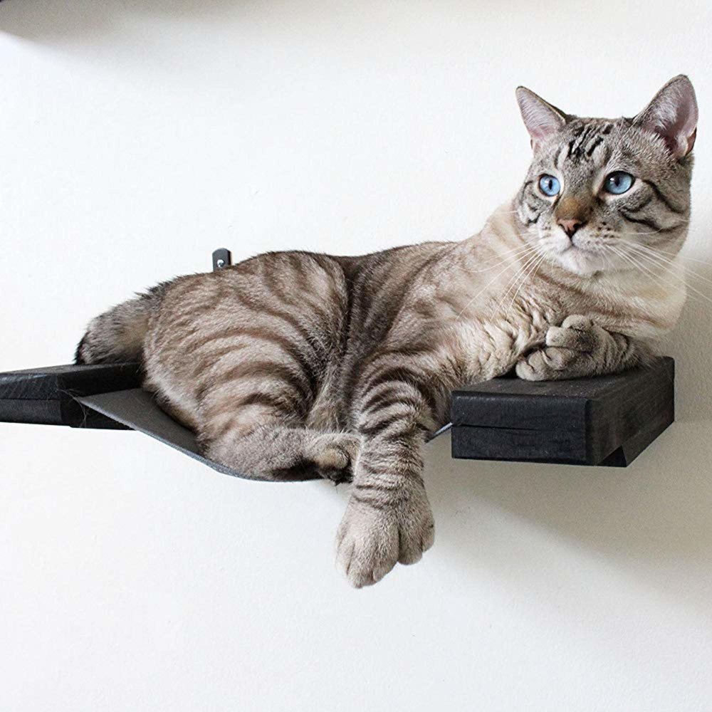 A cat wall hammock from CatastrophiCreations that is super affordable.  Handcrafted cat shelf.
