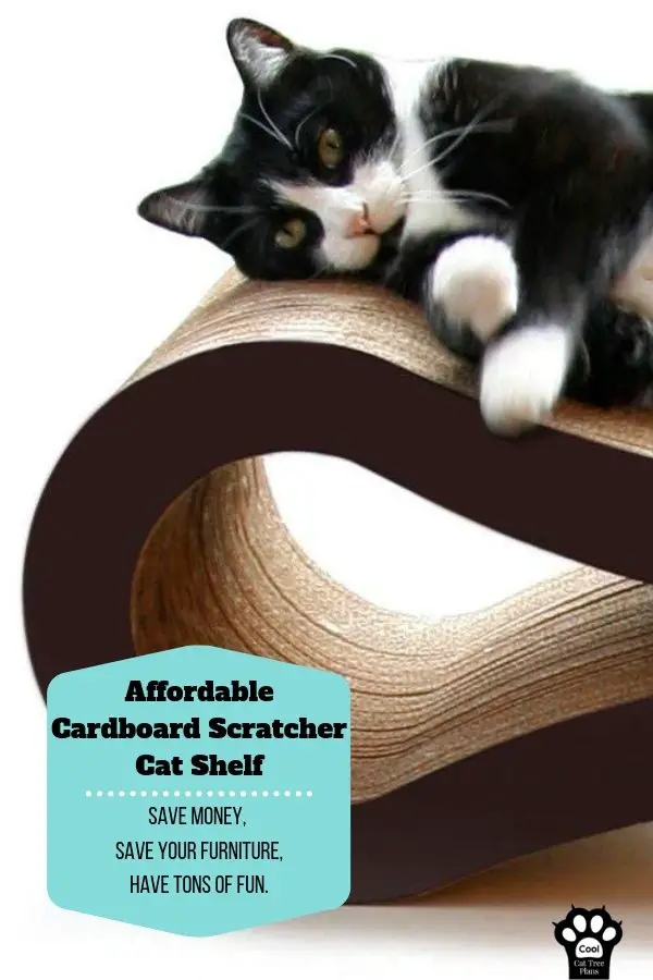 An affordable DIY cardboard cat wall shelf.