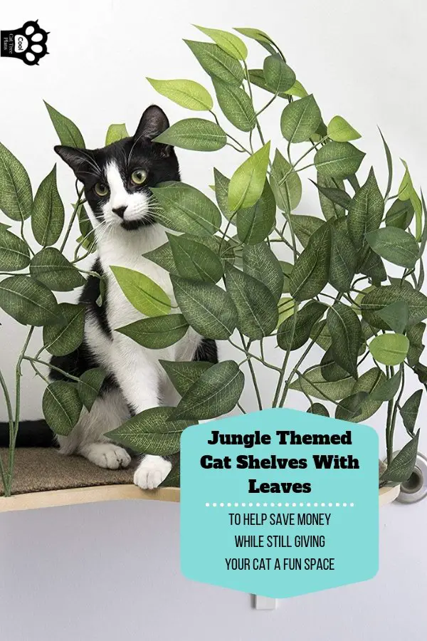A jungle themed cat shelf with leaves, a cheap and affordable cat wall shelf that'll look good with your decor.