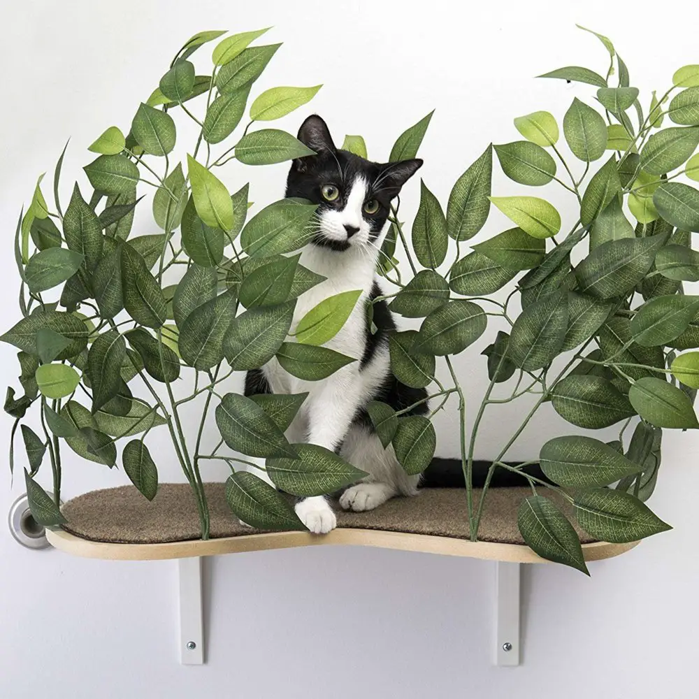 Leafy cat wall shelf that is very affordable, it comes in a set of two.