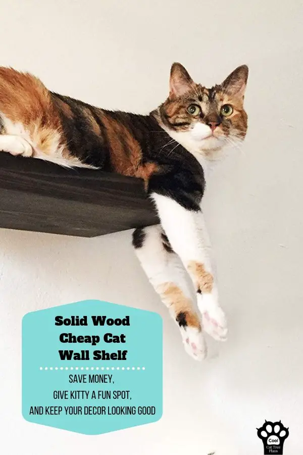 A cat shelf step that can double as a cat shelf to lounge on.  It's affordable and made from solid wood.