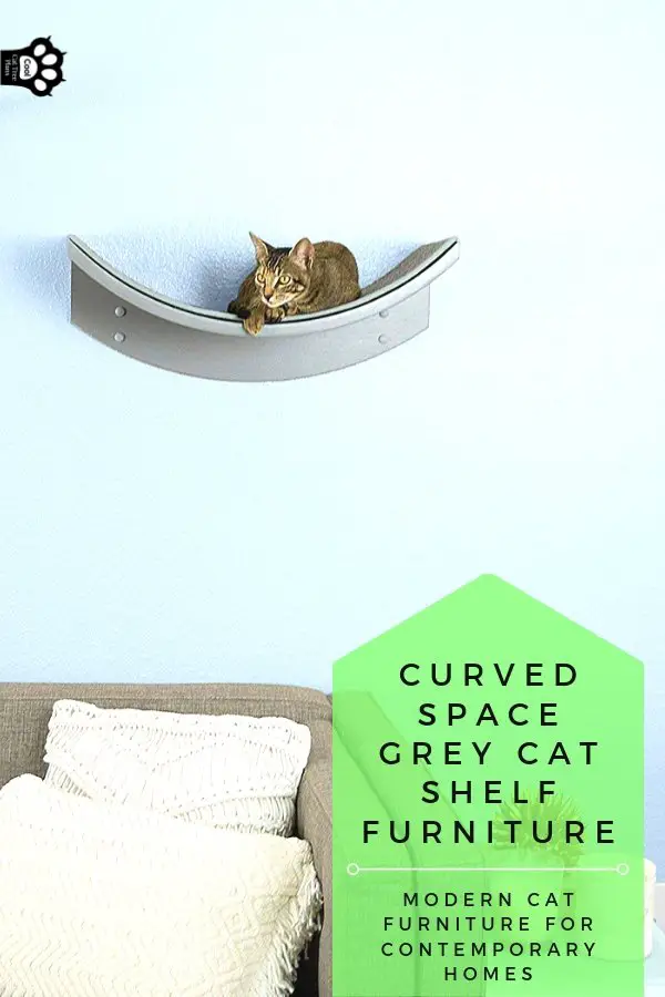 A space grey modern cat shelf can help cats get out their need to zoom and climb.
