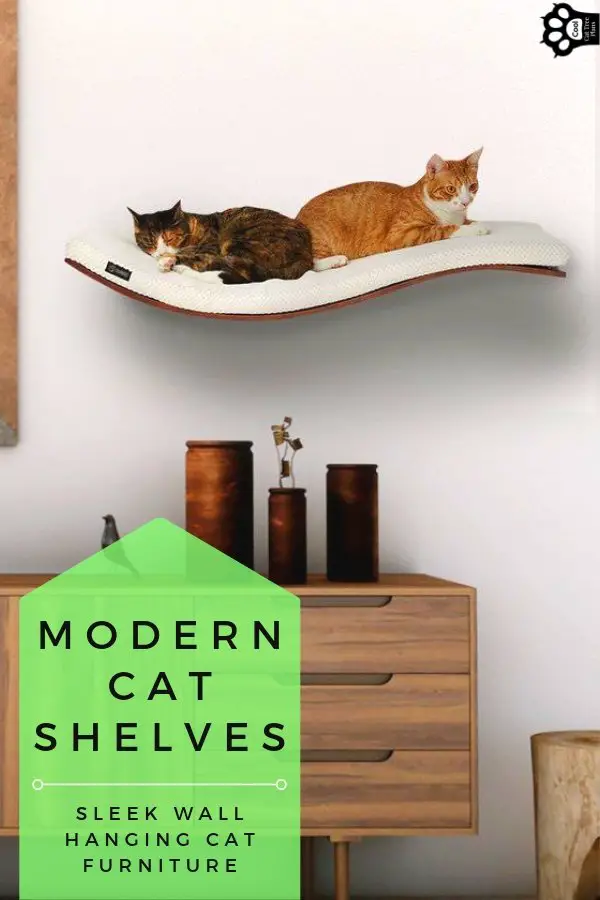 Modern Cat Furniture Shelves For Your Home Cool Tree Plans - Curved Wall Shelf For Cats