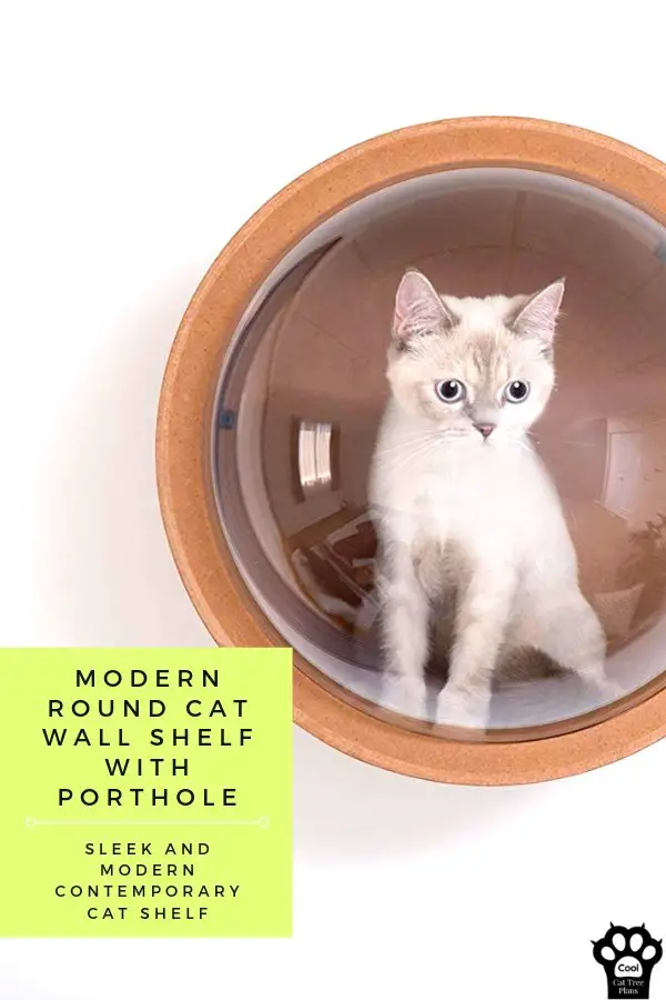Modern round cat wall shelf with porthole from MyZoo is an amazing display and makes for great modern cat furniture shelves.