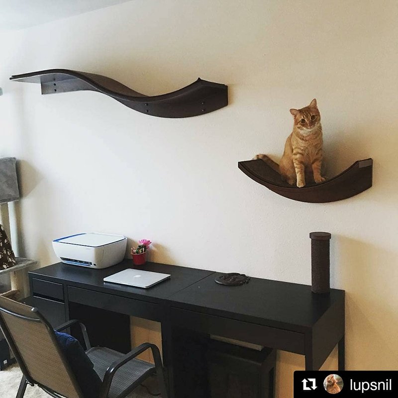 These modern cat furniture shelves are also known as the Cleopatra Cat Shelves.
