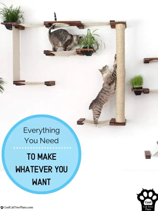 CatastrophiCreations make some of the best cat wall shelves around.  You can make a whole cat room or just a small playspace for your kitty with ease.