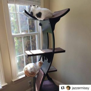 These cats are enjoying their cleopatra cat tree from the Refined Feline.