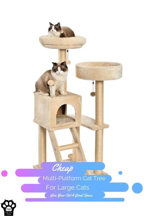 An affordable multi-platform cat tree for large cats, it's hard to find one that is both cheap and quality.