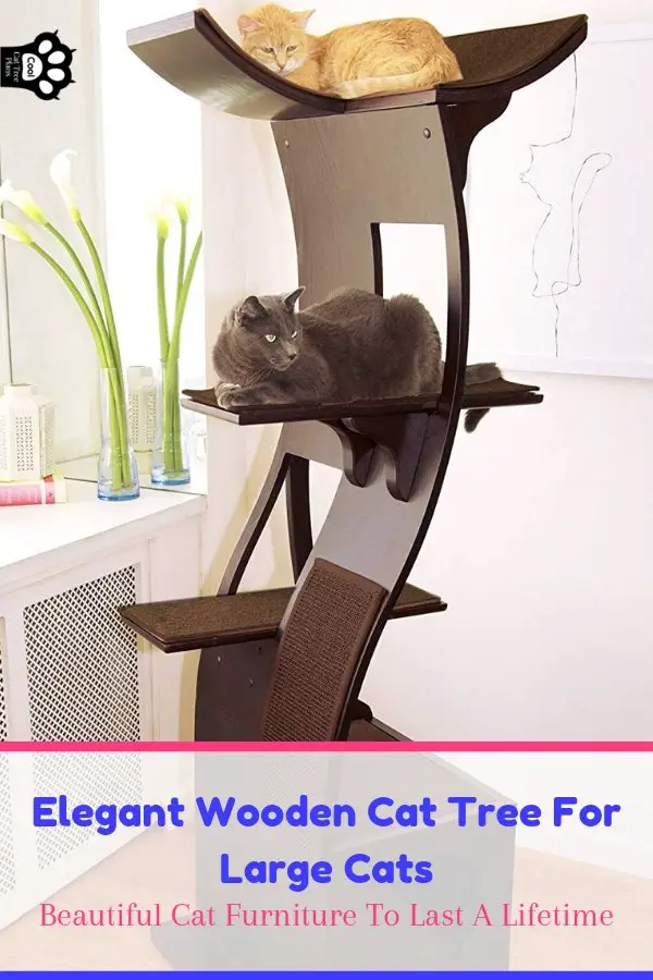 Finding an elegant wooden cat tree for large cats can really cut down on costs in the long run.