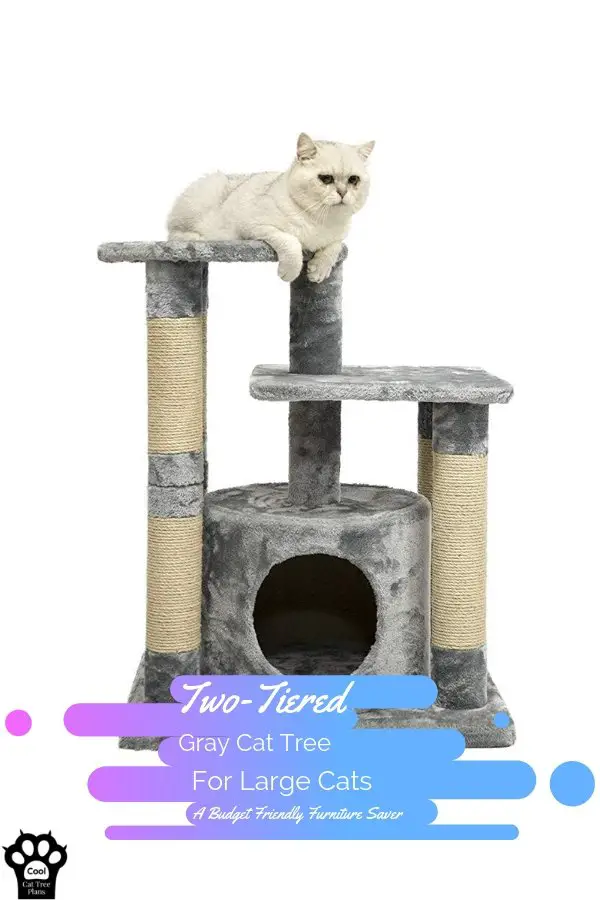A two-tiered gray cat tree for large cats can be an excellent solution to your need for an affordable cat tree for your big cat.