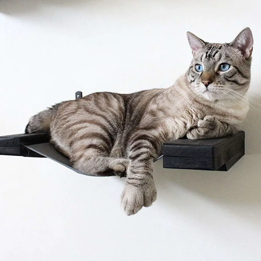 This cat shelf hammock from CatastrophiCreations is a wonderful inexpensive way to catify your house.  Cat shelves, cat perches, cat hammock.