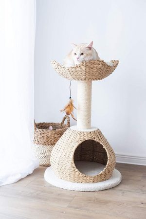 This is one of the best cat scratching trees for people in apartments because of it's small footprint and pretty style.