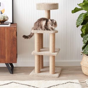 This three level cat tree is perfect if you are on a budget or trying to safe a little money, but you still want to get your cat something special.