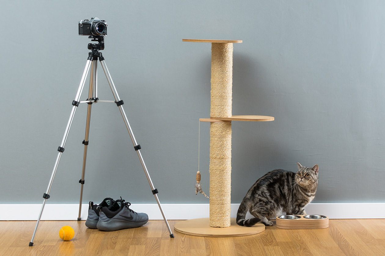 This cat tree isn't massive, but it isn't tiny either.  It's about as tall as this camera tripod.