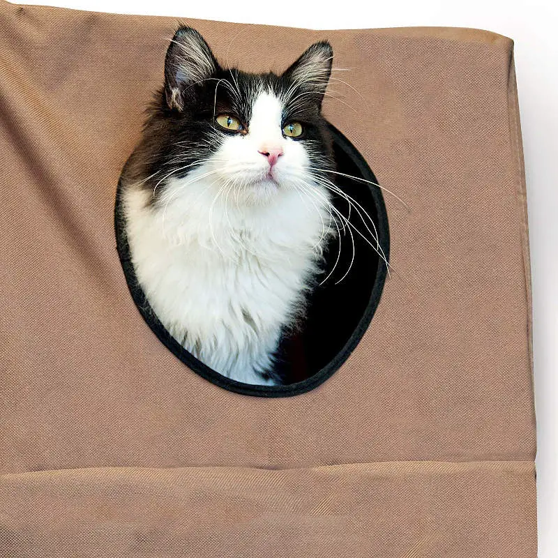 A large cat enjoying one of the peep holes on his doorway hanging cat tree.