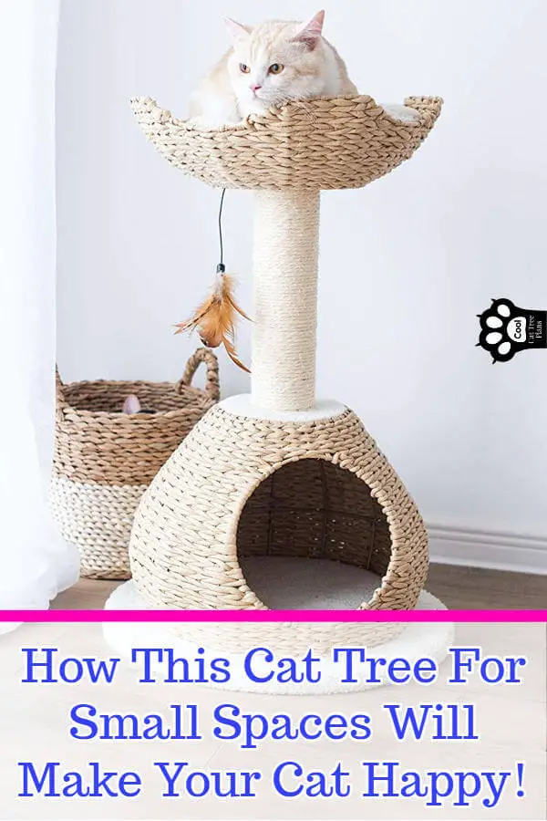 How This Cat Tree For Small Spaces Will Make Your Cat Happy Cool Cat