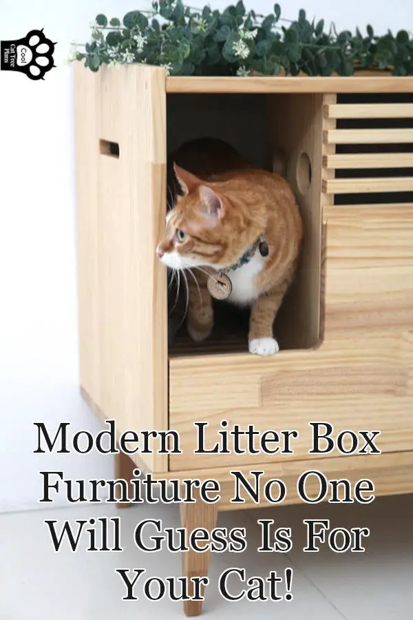 Modern luxury litter box furniture can help manage litter scattering, smell, and the general aesthetic.  You no longer have to worry about having an ugly litter box out in your home.