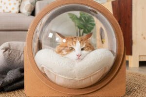 A cat bed inside a cat bed.  Someone has tucked their cats favorite bed mat into the Spaceship Alpha for extra coziness and kitty comfort.