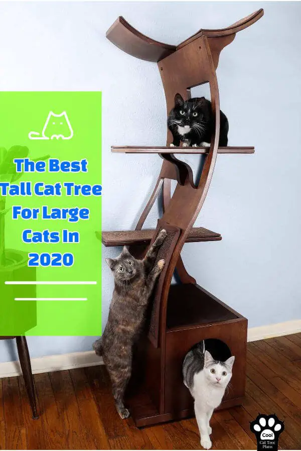 This is the best tall  cat tree for large cats, it's got everything they need to feel at home while being a beautiful addition to your homes decor.