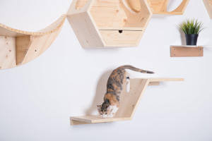A kitten climbing down this minimalist and sleek floating cat shelf from MyZoo.