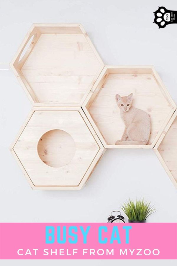 The Busy Cat cat shelves are a super cool hexagonal cat shelf made from solid wood and designed to work well alone or combined together to make a giant honeycomb-like cat wall.