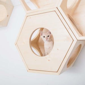 The Busy Cat hexagonal cat shelves can be covered with these wooden panels designed to give your cats a little more privacy and give them a happy cubby.