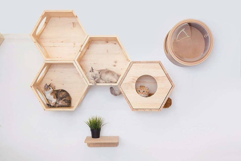 The MyZoo hexagonal cat shelves being paired with their Spaceship Gamma cat shelf!
