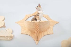 A good view of how your cats will sit, lay and enjoy this cat shelf.